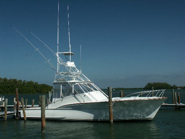 Click to See Next Image